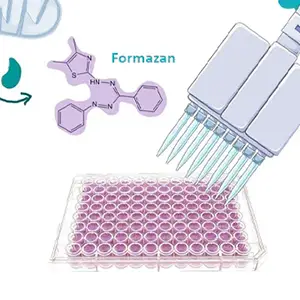 MTT assay